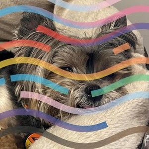 Meet your Posher, Darla